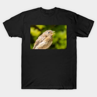 Baby robin T-Shirt